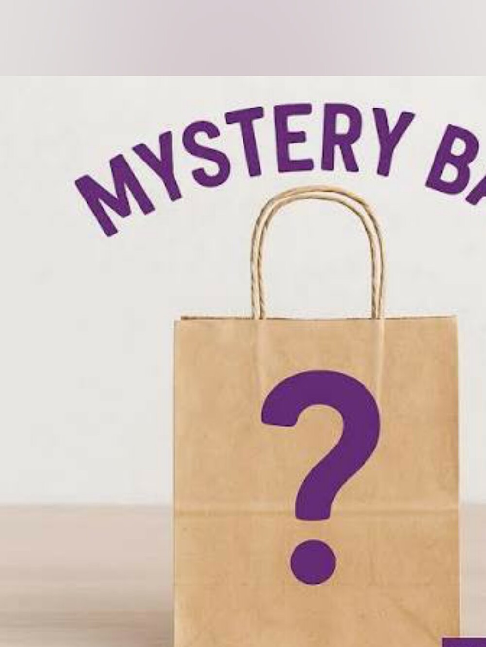Scentsy Mystery Wax Bar Bag